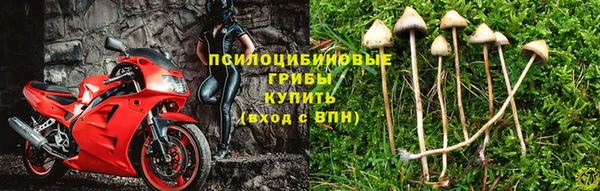 ПСИЛОЦИБИНОВЫЕ ГРИБЫ Алексеевка