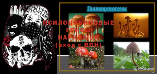 jwh Алзамай