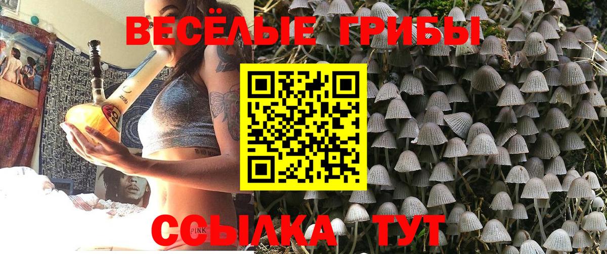 Галлюциногенные грибы Psilocybine cubensis Кириши
