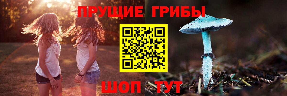 Кириши  хочу наркоту  Галлюциногенные грибы мухоморы  Вход с VPN  Галлюциногенные грибы прущие грибы 